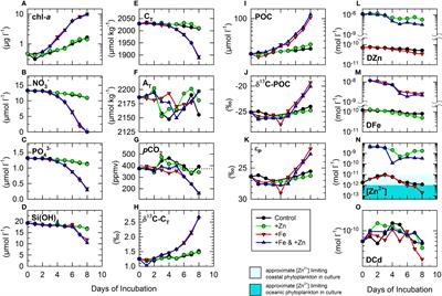 Apparent shifts in the microplankton community in response to zinc and iron enrichments in the Northeastern Subarctic Pacific